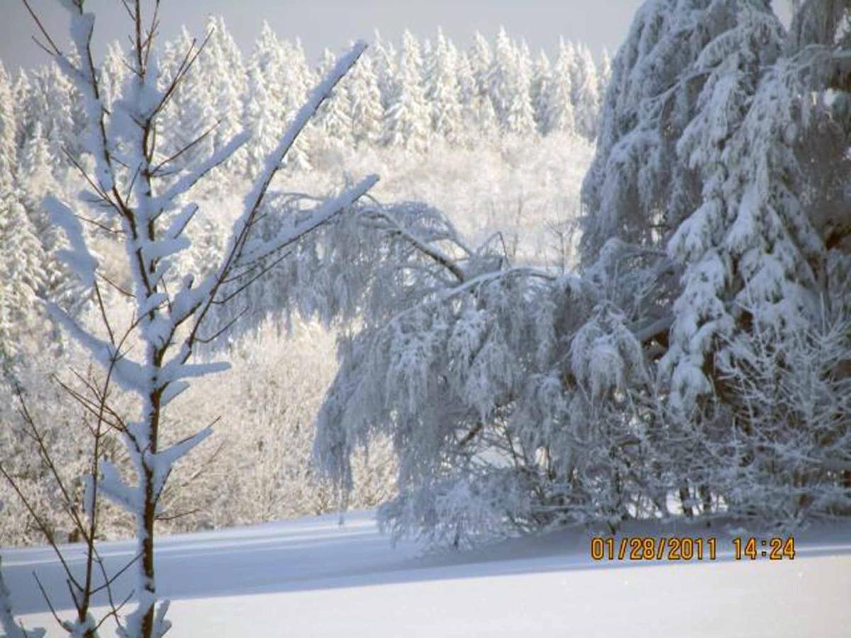 Ferienhaus Ferien Am Waldrand Altenberg Екстер'єр фото